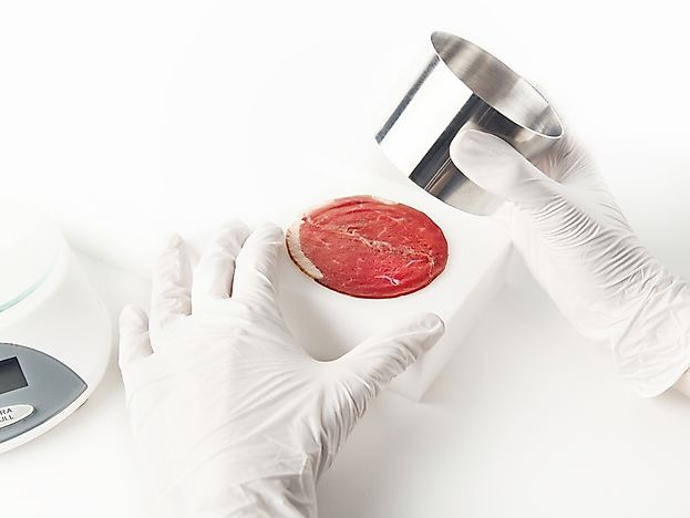 FDA green lights lab-grown meat in submission to WEF globalist agenda